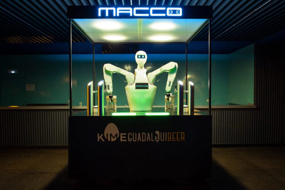 Роботы похожие на человека