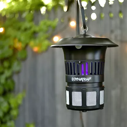 Device for killing mosquitoes