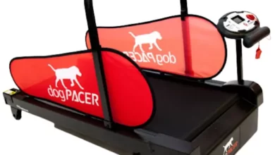 Лучшие беговые дорожки для собак 2022