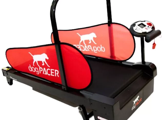 Лучшие беговые дорожки для собак 2022