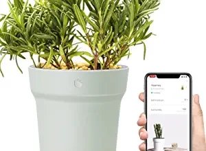 Лучшие гаджеты для огорода 2022/2025