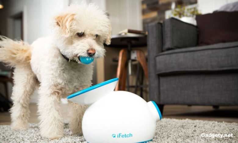 Гаджеты для домашних животных 2025