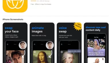 Лучшее приложение которое меняет лицо в видео 2025