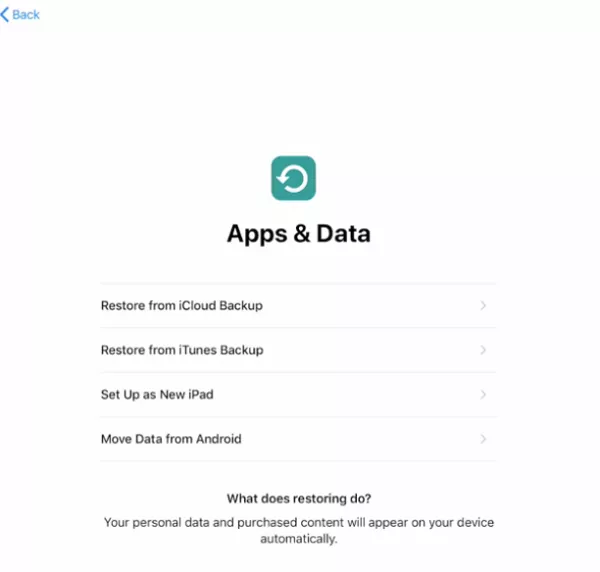 Restore from iCloud Backup