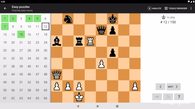 Chess Tactics Pro