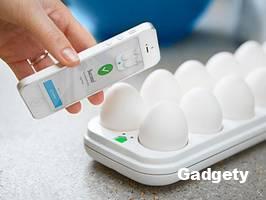 Умный лоток для яиц