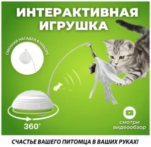 Petgeek-Running smart