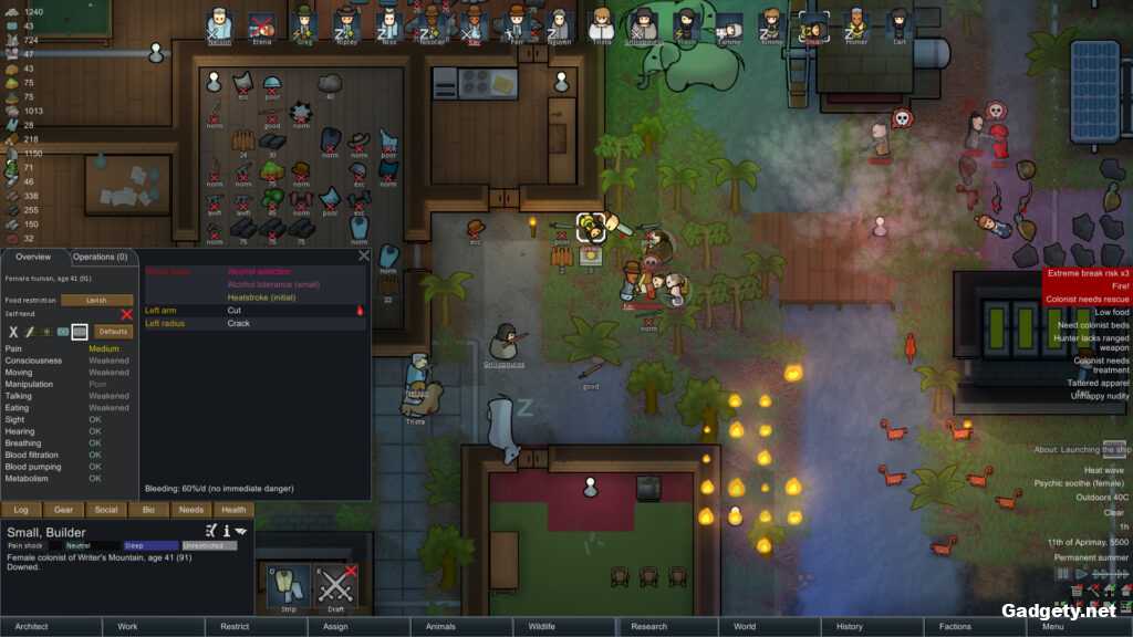 RimWorld