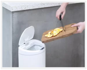 Рейтинг сенсорных мусорных ведер 2025 9 Ninestars Sensor Trash Can DZT-10-29S