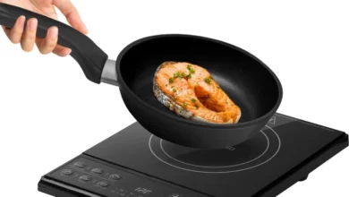 Рейтинг индукционных плит 1 конфорка