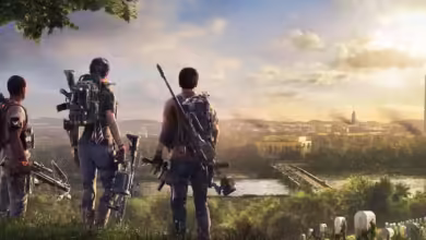 the division 2 cover