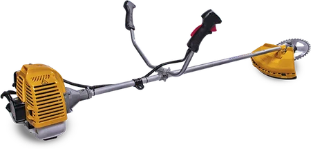 450x600 2024 08 28t225333.180