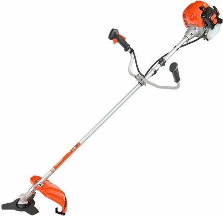 450x600 2024 08 28t225514.705