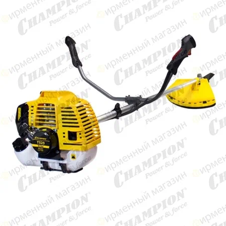 450x600 2024 08 28t225857.255