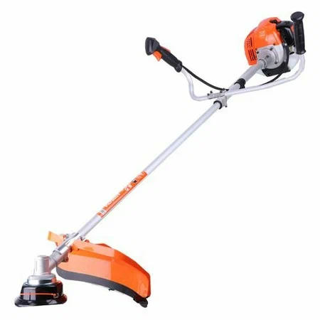 450x600 2024 08 28t230038.725