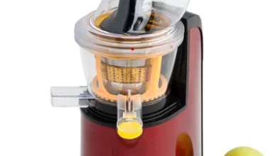 450x600 2024 08 30t170841.322