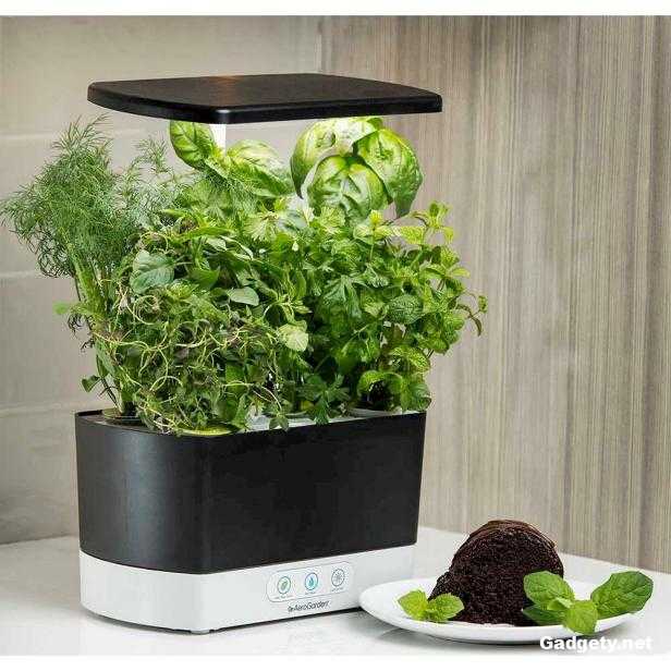 AeroGarden Harvest Крытый гидропонный сад