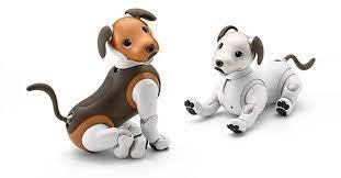 aibo Companion Robot