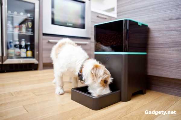 Petnet Smartfeeder: 