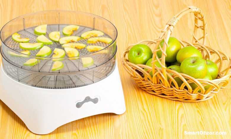 Лучшие сушилки для овощей и фруктов 2025: ТОП моделей для вашего урожая 1 gl 11 960x540 1