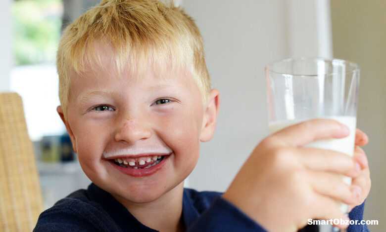 Лучшие пребиотики для детей – Обзор эффективных и безопасных средств 1 luchshie probiotiki dlya detej 960 960x540 1