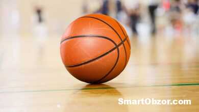 shutterstock 1505129630