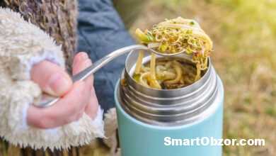 Лучшие термосы для еды: рейтинг и обзор моделей 2025 года 12 shutterstock 1945417966 960x540 1