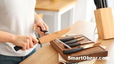 shutterstock 2063963465