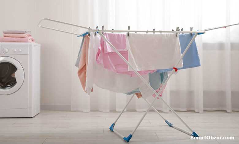 shutterstock 2317240763