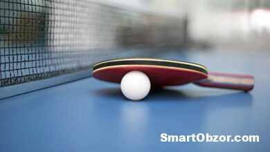 shutterstock 372126238