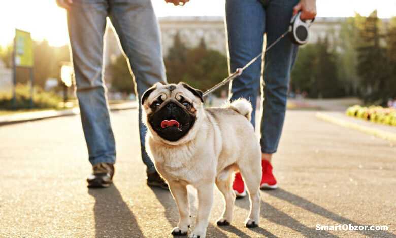 tild3162 3061 4163 b538 633662386361 shutterstock 1166466 960x540 1