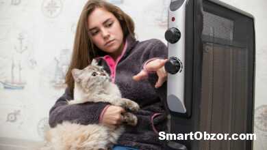 Лучшие обогреватели для квартиры 2025 — Обзор эффективных моделей 15 tild3835 6662 4136 a430 623764653063 2662960pyuu 1 e1640265391265 960x540 1