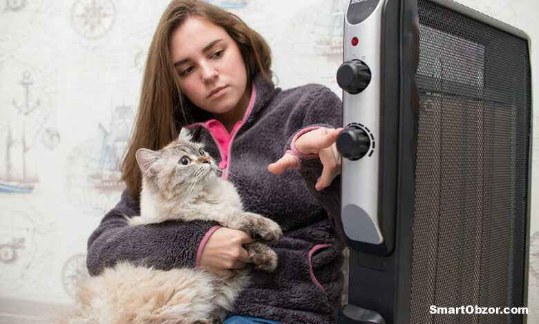 tild3835 6662 4136 a430 623764653063 2662960pyuu 1 e1640265391265 960x540 1