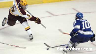 tild3863 6337 4535 a237 373035363131 960 960x540 1