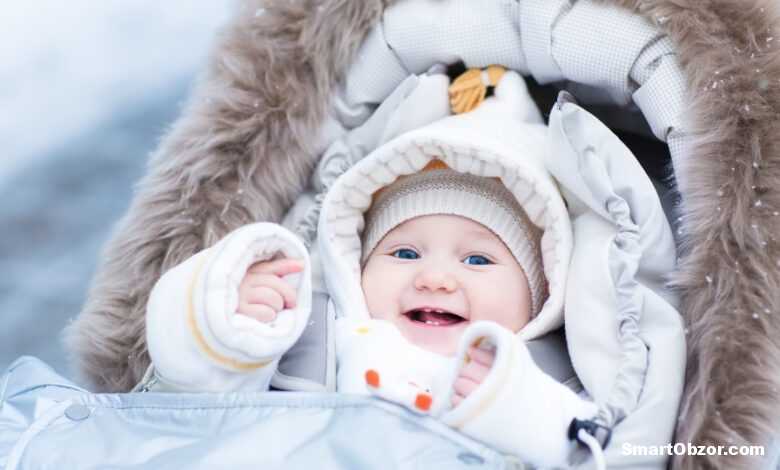 Лучшие коляски для зимы 2025: Рейтинг и советы по выбору 1 top v luchshie detskie kolyaski dlja zimy 960x540 1