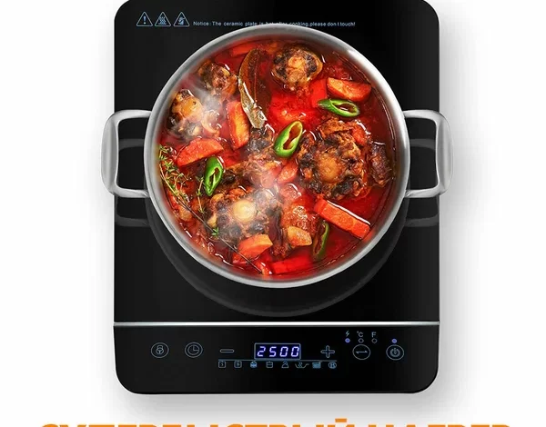 Рейтинг индукционных плит 1 конфорка 2025