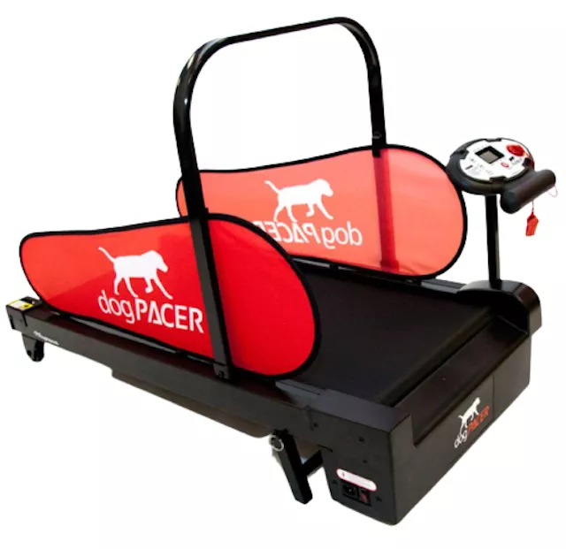 DogPACER Minipacer