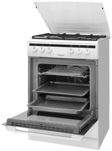 Обзор газовых плит с электрической духовкой 2025 4 Hansa FCMW68020