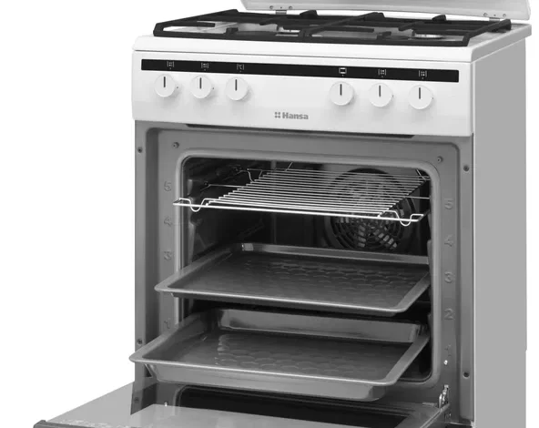 Обзор газовых плит с электрической духовкой 2025