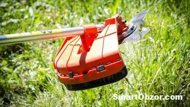 Топ бензотриммеров 2026 — мощь и удобство для идеального газона! 15 kex 960x540 1