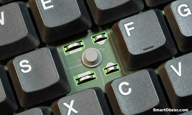 shutterstock 2447924911